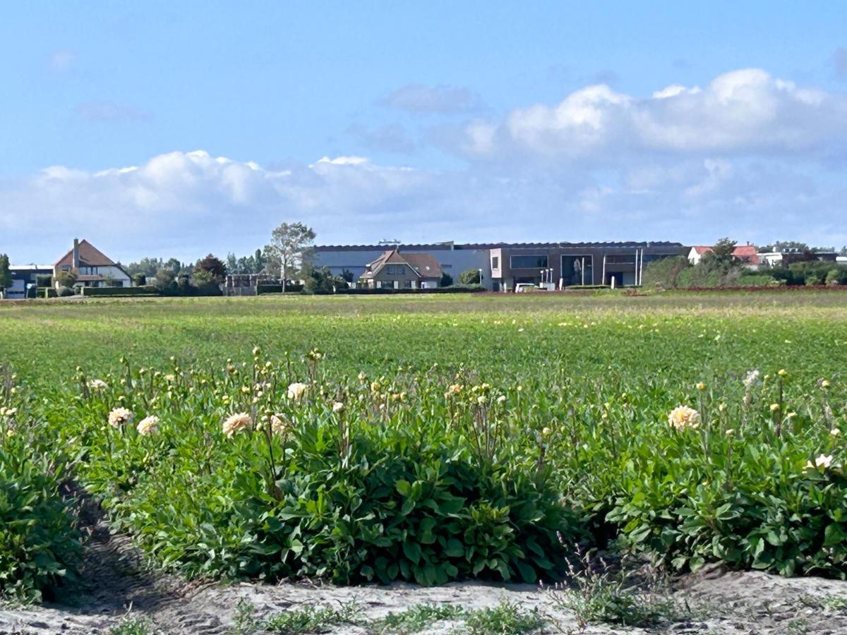 Blossombed Voorhout Kültér fotó