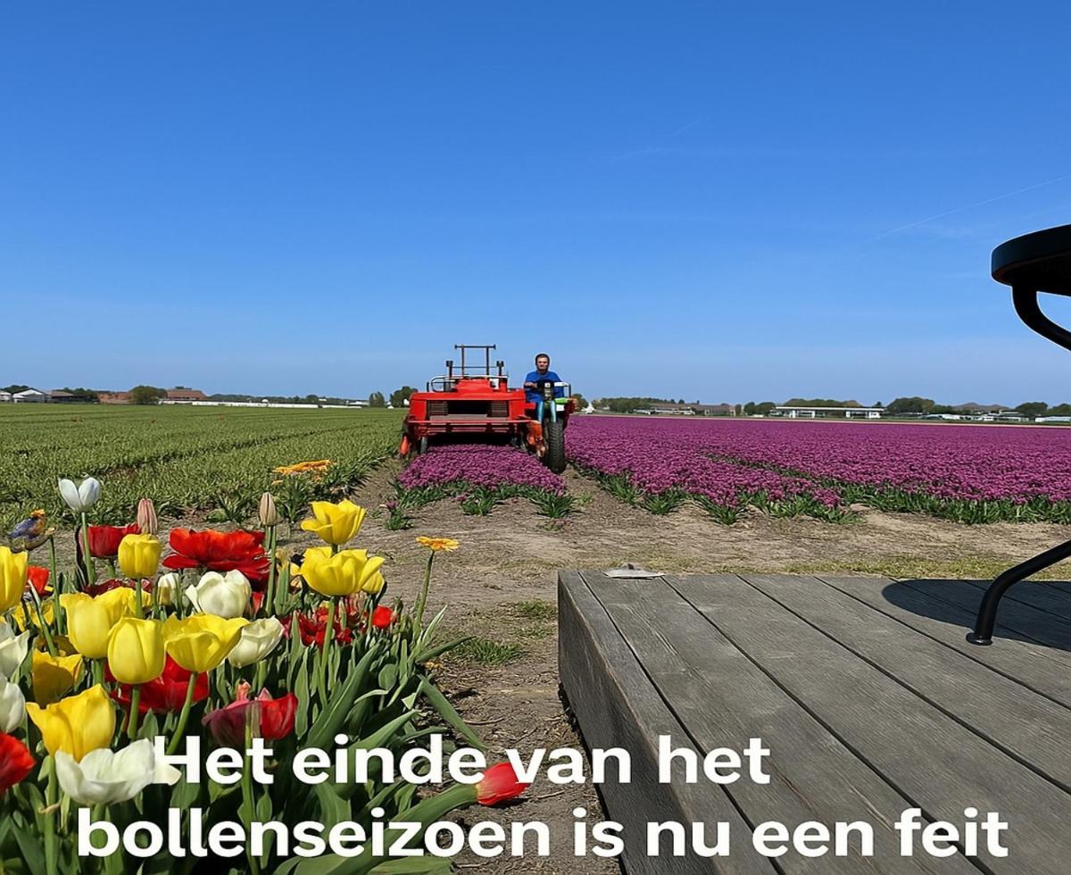 Blossombed Voorhout Kültér fotó